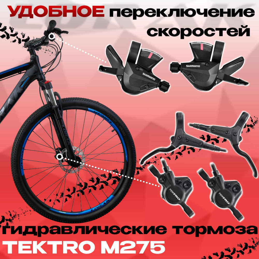 Lorak Sel 8900 HD Чёрный/Синий Матовый 19р (на рост 171-182)